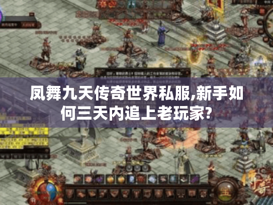 凤舞九天传奇世界私服,新手如何三天内追上老玩家?