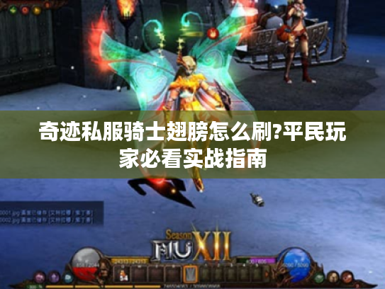 奇迹私服骑士翅膀怎么刷?平民玩家必看实战指南