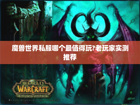 魔兽世界私服哪个最值得玩?老玩家实测推荐