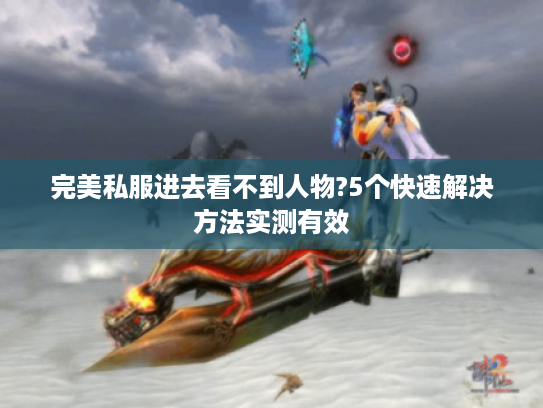 完美私服进去看不到人物?5个快速解决方法实测有效