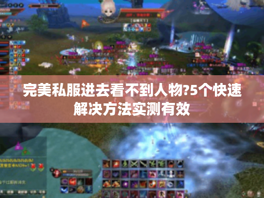 完美私服进去看不到人物?5个快速解决方法实测有效