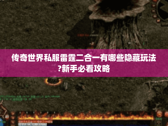 传奇世界私服雷霆二合一有哪些隐藏玩法?新手必看攻略