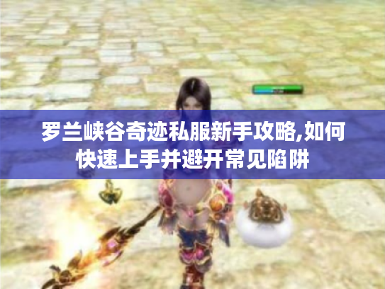 罗兰峡谷奇迹私服新手攻略,如何快速上手并避开常见陷阱