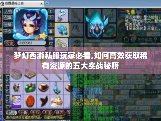 梦幻西游私服玩家必看,如何高效获取稀有资源的五大实战秘籍