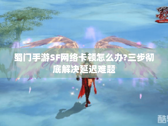蜀门手游SF网络卡顿怎么办?三步彻底解决延迟难题