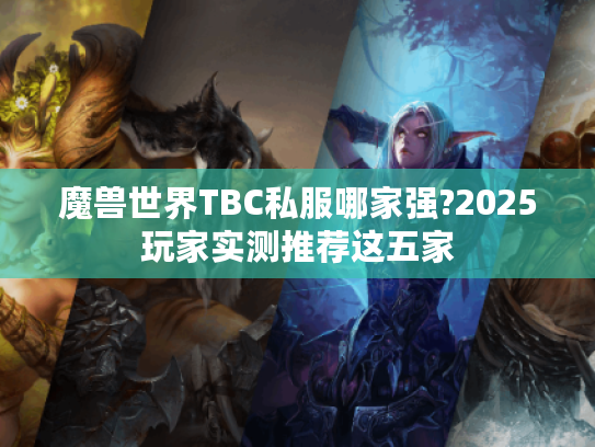 魔兽世界TBC私服哪家强?2025玩家实测推荐这五家