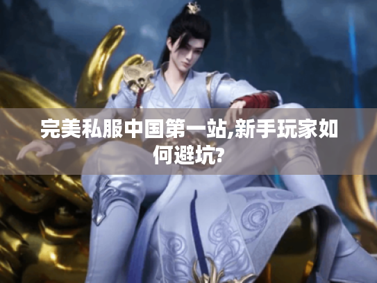 完美私服中国第一站,新手玩家如何避坑?