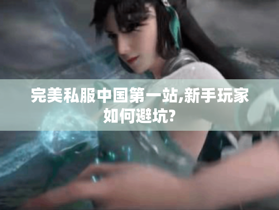 完美私服中国第一站,新手玩家如何避坑?