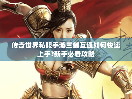 传奇世界私服手游三端互通如何快速上手?新手必看攻略