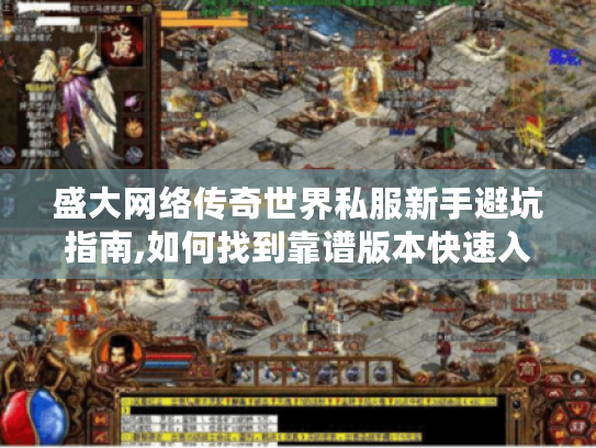 盛大网络传奇世界私服新手避坑指南,如何找到靠谱版本快速入门?
