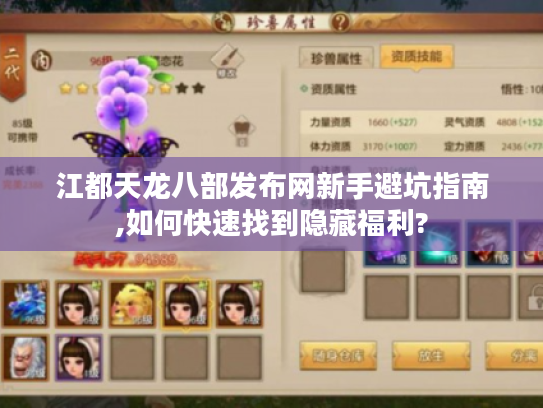 江都天龙八部发布网新手避坑指南,如何快速找到隐藏福利?