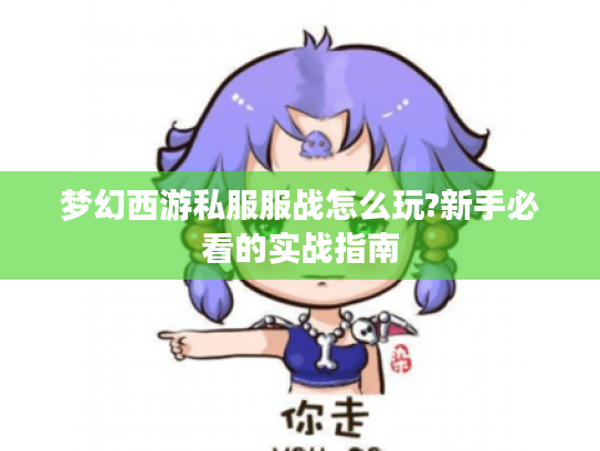 梦幻西游私服服战怎么玩?新手必看的实战指南