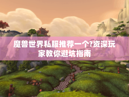 魔兽世界私服推荐一个?资深玩家教你避坑指南