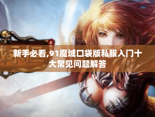 新手必看,91魔域口袋版私服入门十大常见问题解答