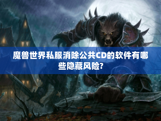 魔兽世界私服消除公共CD的软件有哪些隐藏风险?