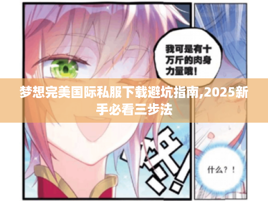 梦想完美国际私服下载避坑指南,2025新手必看三步法