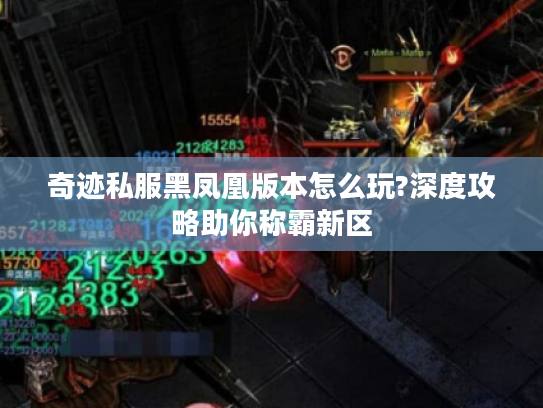 奇迹私服黑凤凰版本怎么玩?深度攻略助你称霸新区