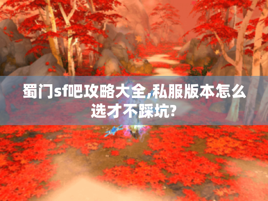 蜀门sf吧攻略大全,私服版本怎么选才不踩坑?