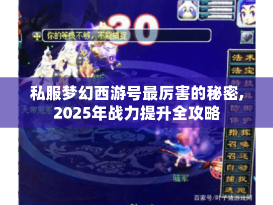 私服梦幻西游号最厉害的秘密,2025年战力提升全攻略