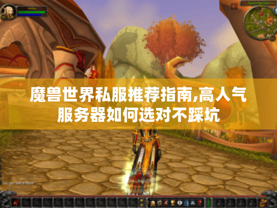 魔兽世界私服推荐指南,高人气服务器如何选对不踩坑