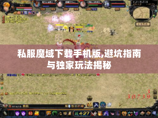 私服魔域下载手机版,避坑指南与独家玩法揭秘