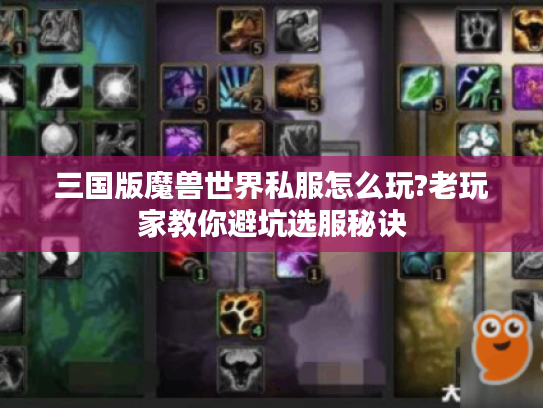 三国版魔兽世界私服怎么玩?老玩家教你避坑选服秘诀