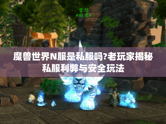 魔兽世界N服是私服吗?老玩家揭秘私服利弊与安全玩法