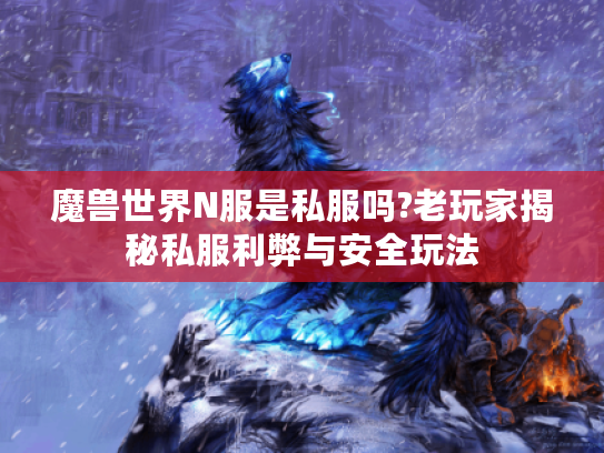 魔兽世界N服是私服吗?老玩家揭秘私服利弊与安全玩法