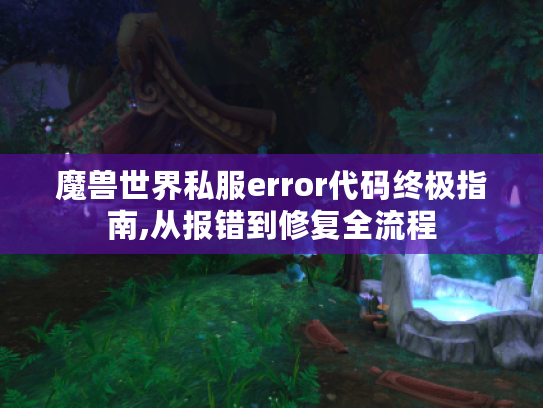 魔兽世界私服error代码终极指南,从报错到修复全流程