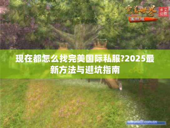 现在都怎么找完美国际私服?2025最新方法与避坑指南