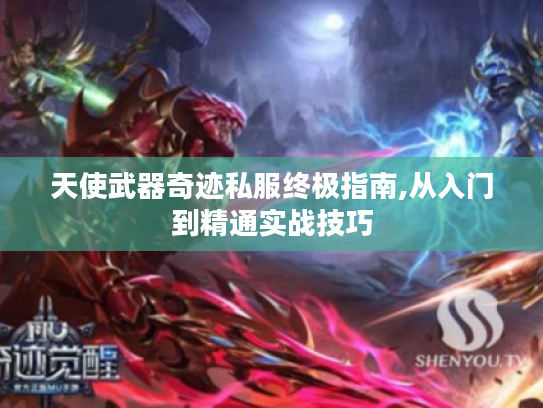 天使武器奇迹私服终极指南,从入门到精通实战技巧