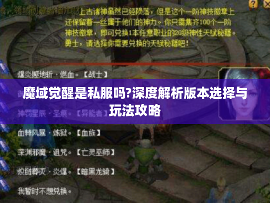 魔域觉醒是私服吗?深度解析版本选择与玩法攻略
