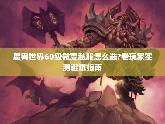 魔兽世界60级微变私服怎么选?老玩家实测避坑指南