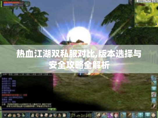 热血江湖双私服对比,版本选择与安全攻略全解析