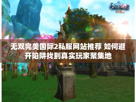 无双完美国际2私服网站推荐 如何避开陷阱找到真实玩家聚集地