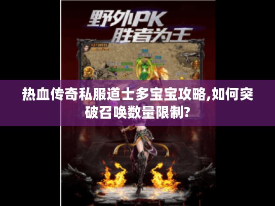 热血传奇私服道士多宝宝攻略,如何突破召唤数量限制?