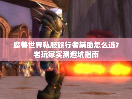 魔兽世界私服旅行者辅助怎么选?老玩家实测避坑指南