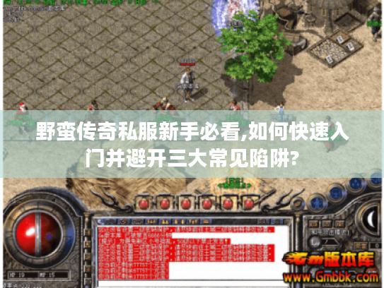 野蛮传奇私服新手必看,如何快速入门并避开三大常见陷阱?