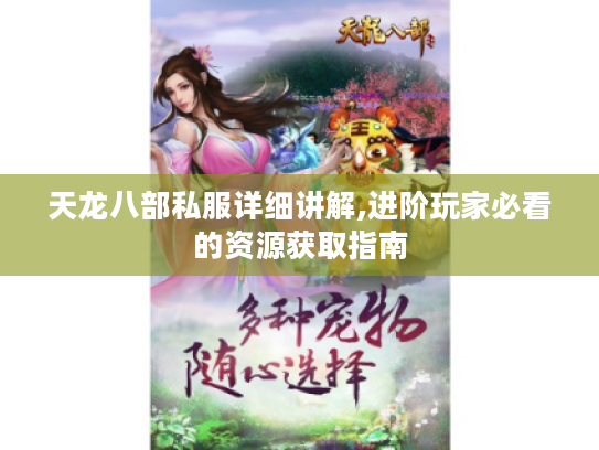天龙八部私服详细讲解,进阶玩家必看的资源获取指南