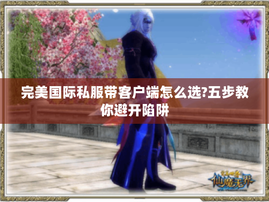 完美国际私服带客户端怎么选?五步教你避开陷阱