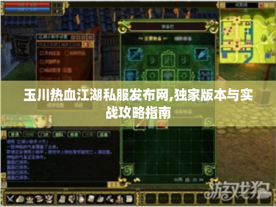 玉川热血江湖私服发布网,独家版本与实战攻略指南