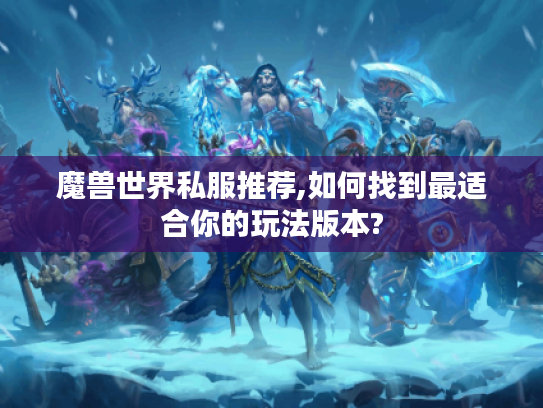 魔兽世界私服推荐,如何找到最适合你的玩法版本?