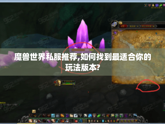 魔兽世界私服推荐,如何找到最适合你的玩法版本?