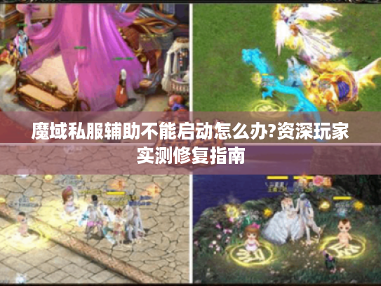 魔域私服辅助不能启动怎么办?资深玩家实测修复指南