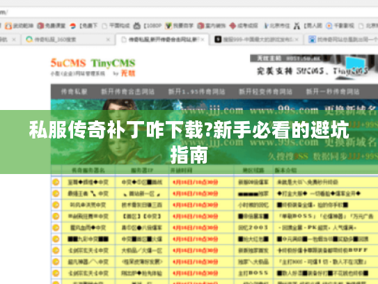 私服传奇补丁咋下载?新手必看的避坑指南