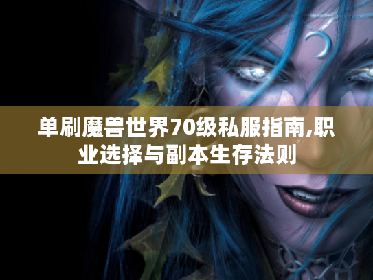单刷魔兽世界70级私服指南,职业选择与副本生存法则