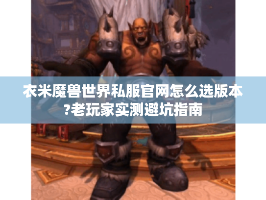 衣米魔兽世界私服官网怎么选版本?老玩家实测避坑指南