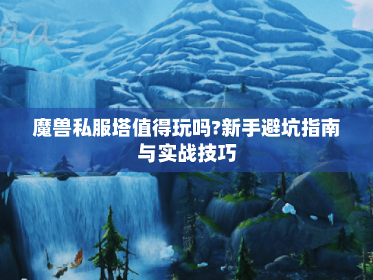 魔兽私服塔值得玩吗?新手避坑指南与实战技巧