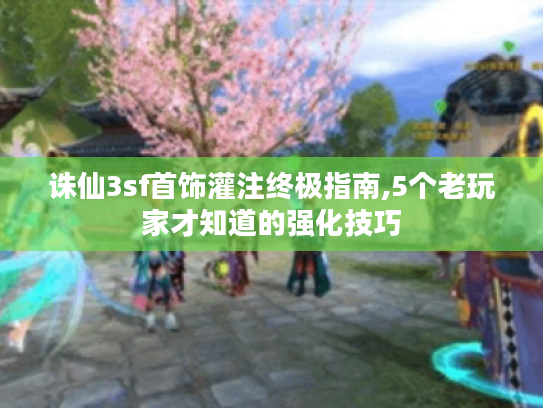 诛仙3sf首饰灌注终极指南,5个老玩家才知道的强化技巧