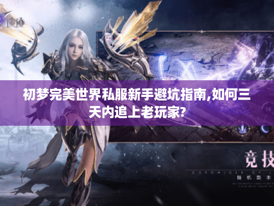 初梦完美世界私服新手避坑指南,如何三天内追上老玩家?